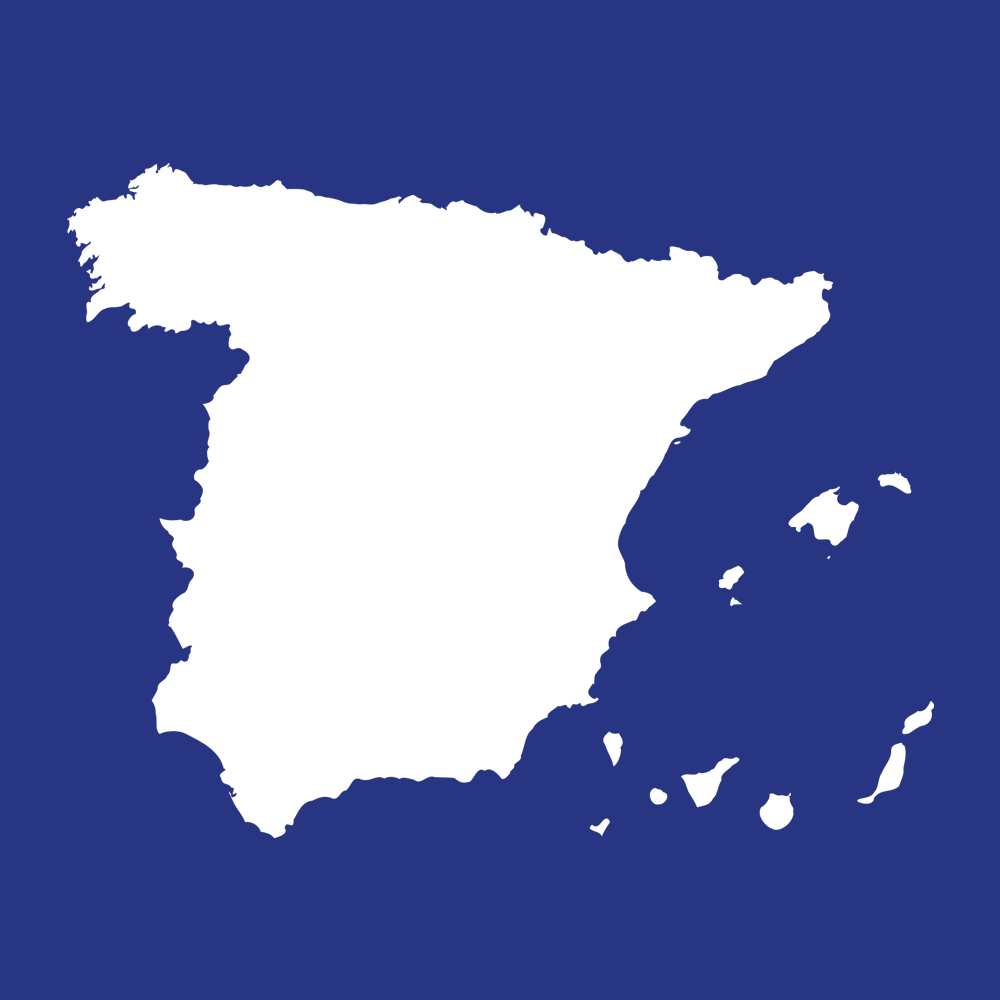 Subscripció anual edició impresa (Espanya)