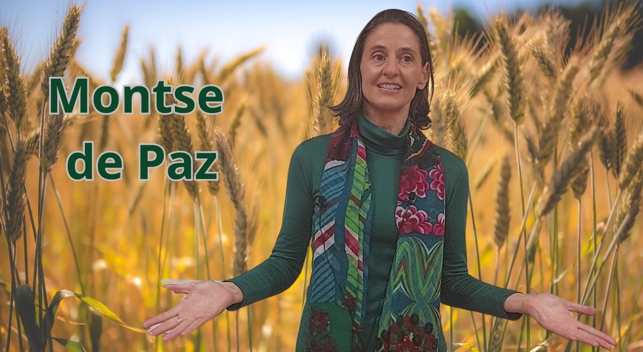 Montse de Paz